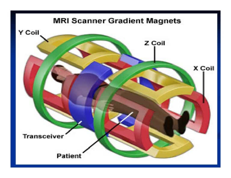 Inside the MRI Gradient Coils Amber Diagnostics