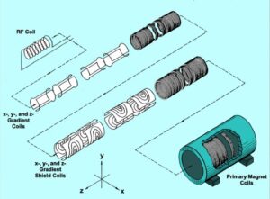 Gradient coils inside an MRI